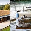 Baltijos jūros gyvūnų reabilitacijos centras ir čia sveikstantys ruoniai