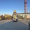 Margutis ant &scaron;iaurinio molo