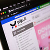 Pigu.lt internetinis puslapis