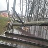 Audros padariniai Plungės rajone