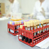 Laboratorijoje