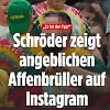 &bdquo;Bild&ldquo; patalpino Denniso Shroderio instagrame paskelbtą įra&scaron;ą, skirtą Lietuvos krep&scaron;inio rinktinės sirgaliui.