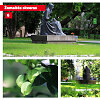 Gražieji Vilniaus gėlynai