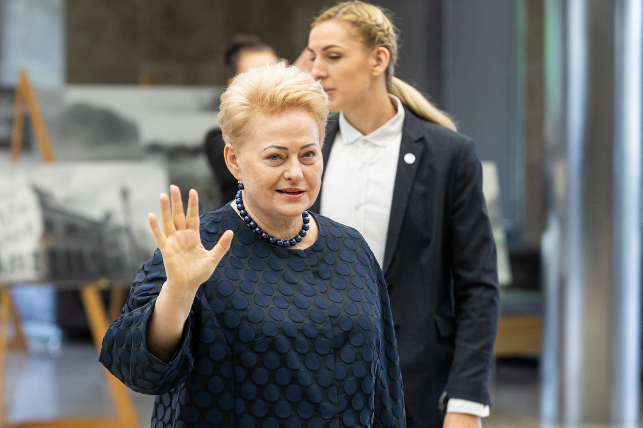 D.Grybauskaitės perspėjimas dėl artėjančio sunkmečio: krizė gali būti ne už kalnų