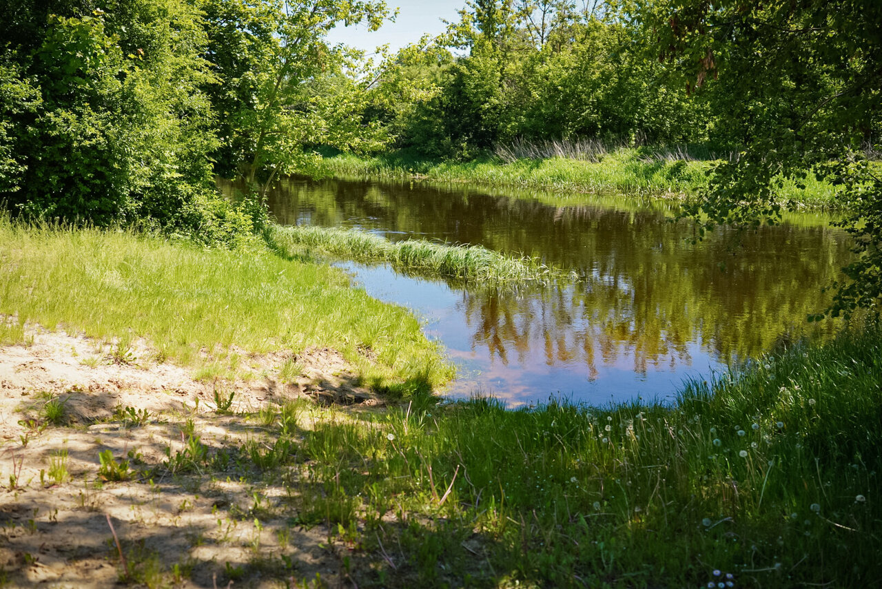 Svarbi žinia poilsiautojams: vienoje Panevėžio vietų maudytis nerekomenduojama