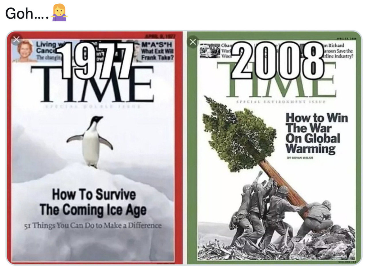 Pingvinas ant „Time“ viršelio nesiūlė ruoštis ledynmečiui: kažkas jį paredagavo
