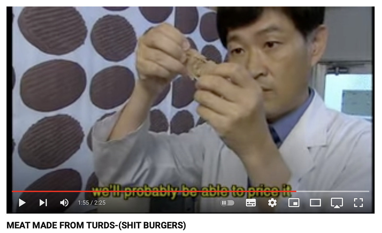 Ar tikrai Japonijos laboratorijoje sukurta mėsa iš fekalijose rastų bakterijų?