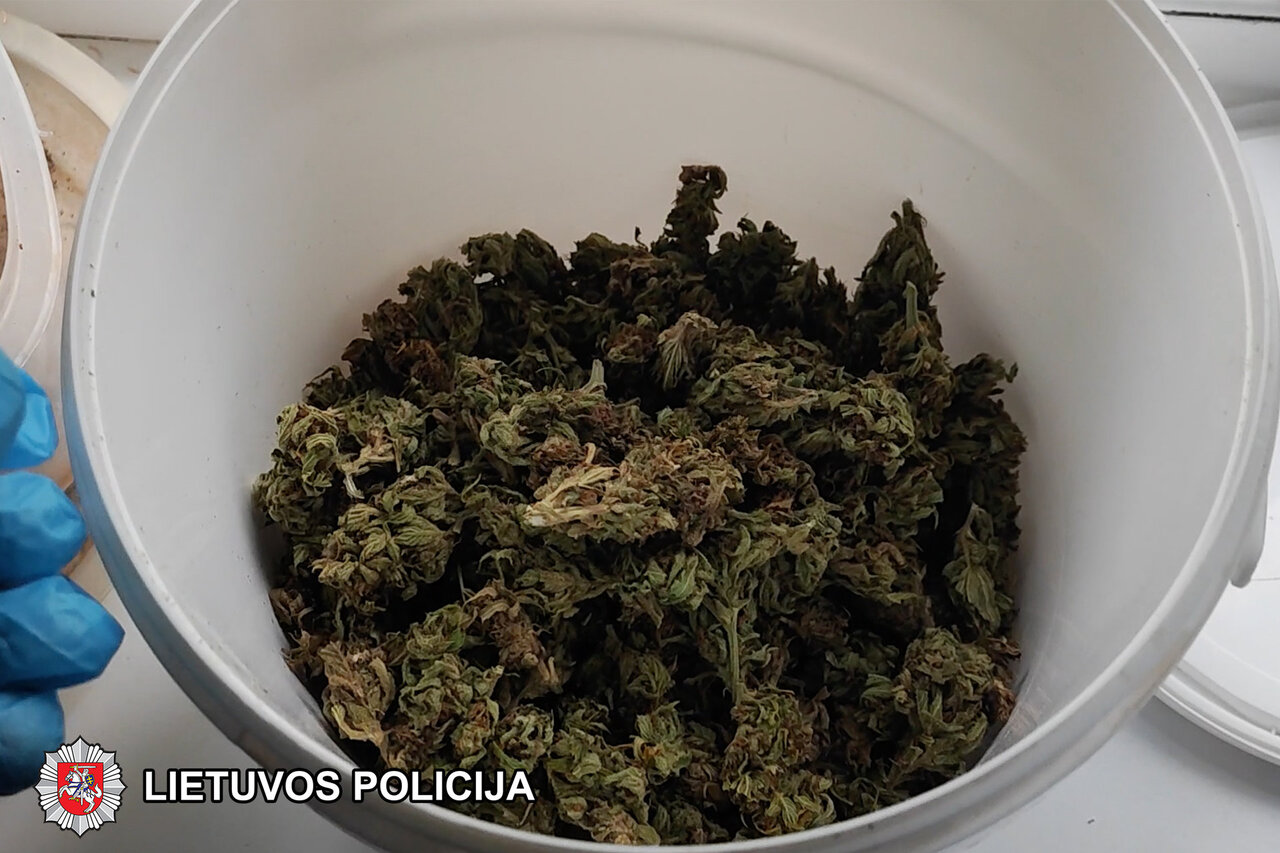 Gargždi&scaron;kis kaltinamas kanapių prekyba: į teismą stos ir paaugliai