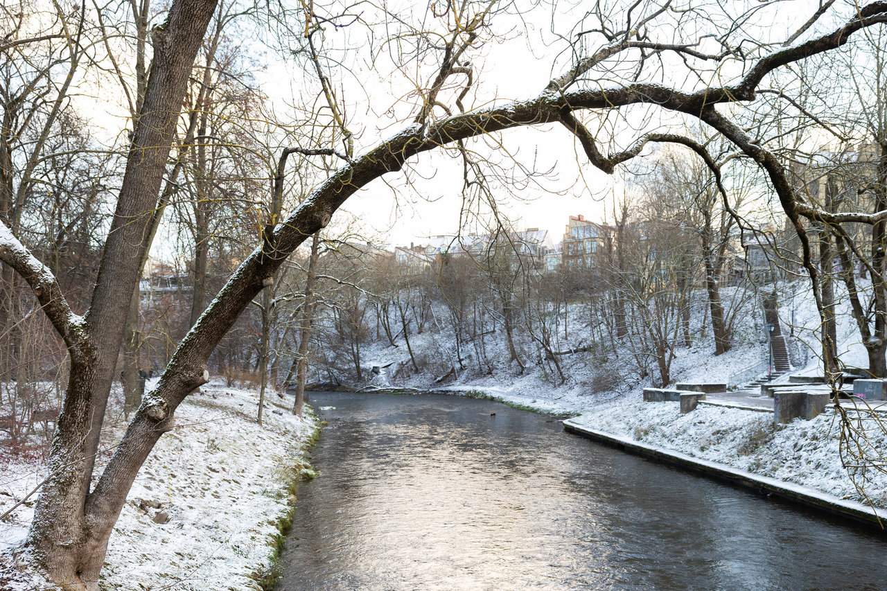 Savaitgalį užbaigsime niūriais orais, sulauksime mišrių kritulių