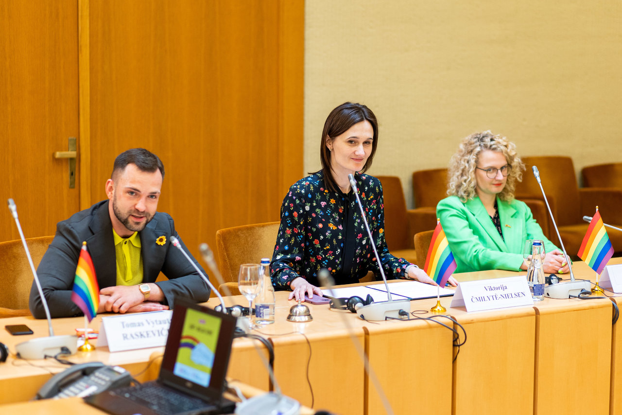 Valdančiųjų atstovai: žingsniai siekiant apginti LGBT+ teises Seime žengiami sunkiai