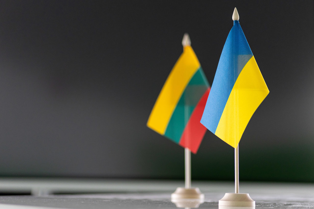 Seime bus minima Ukrainos Konstitucijos diena