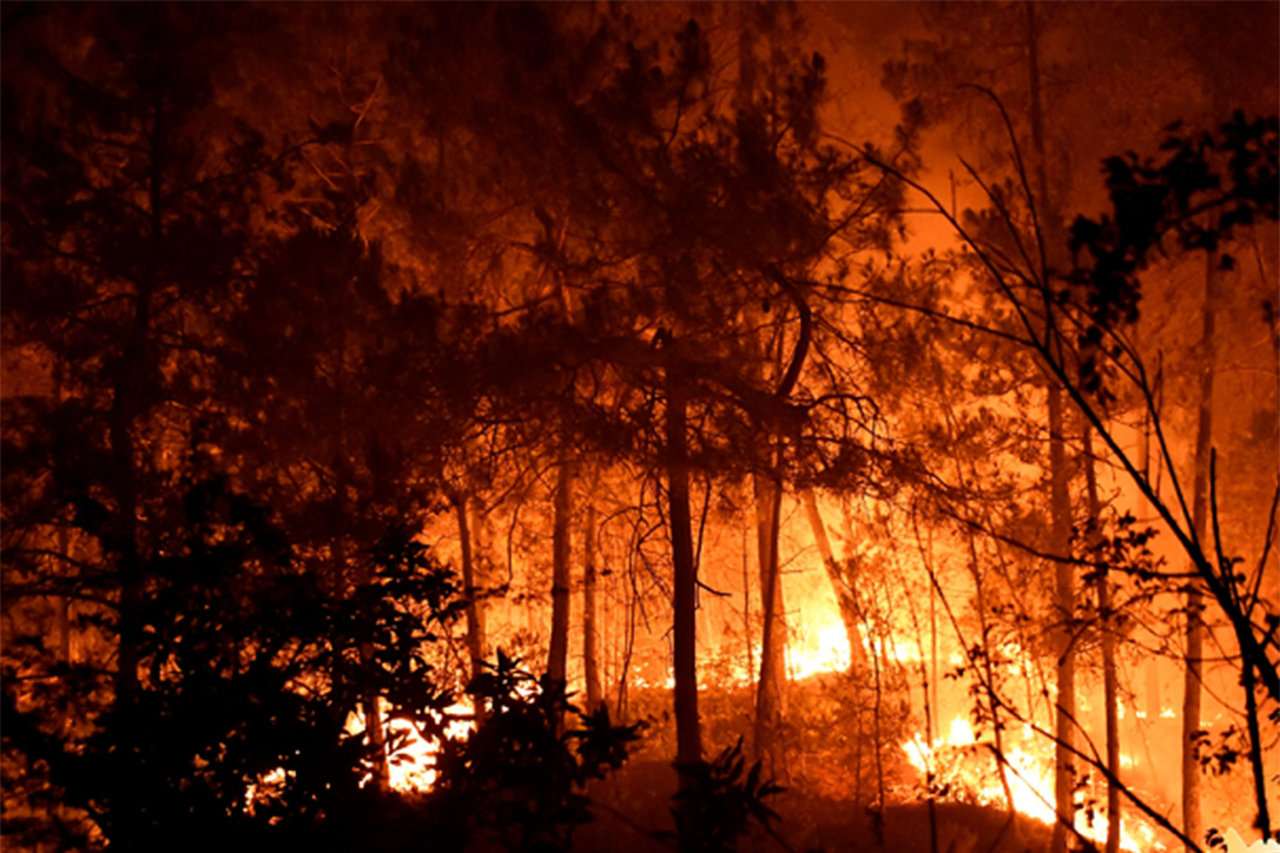 Pietų Prancūzijoje ugniagesiai suvaldė didelį gamtinį gaisrą