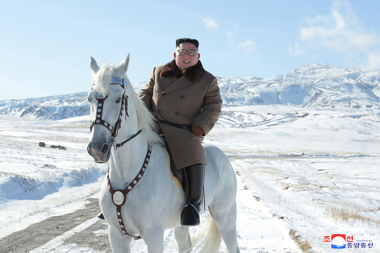 Pirmajame per dvejus metus traukinyje iš Rusijos į Šiaurės Korėją – 30 grynakraujų žirgų
