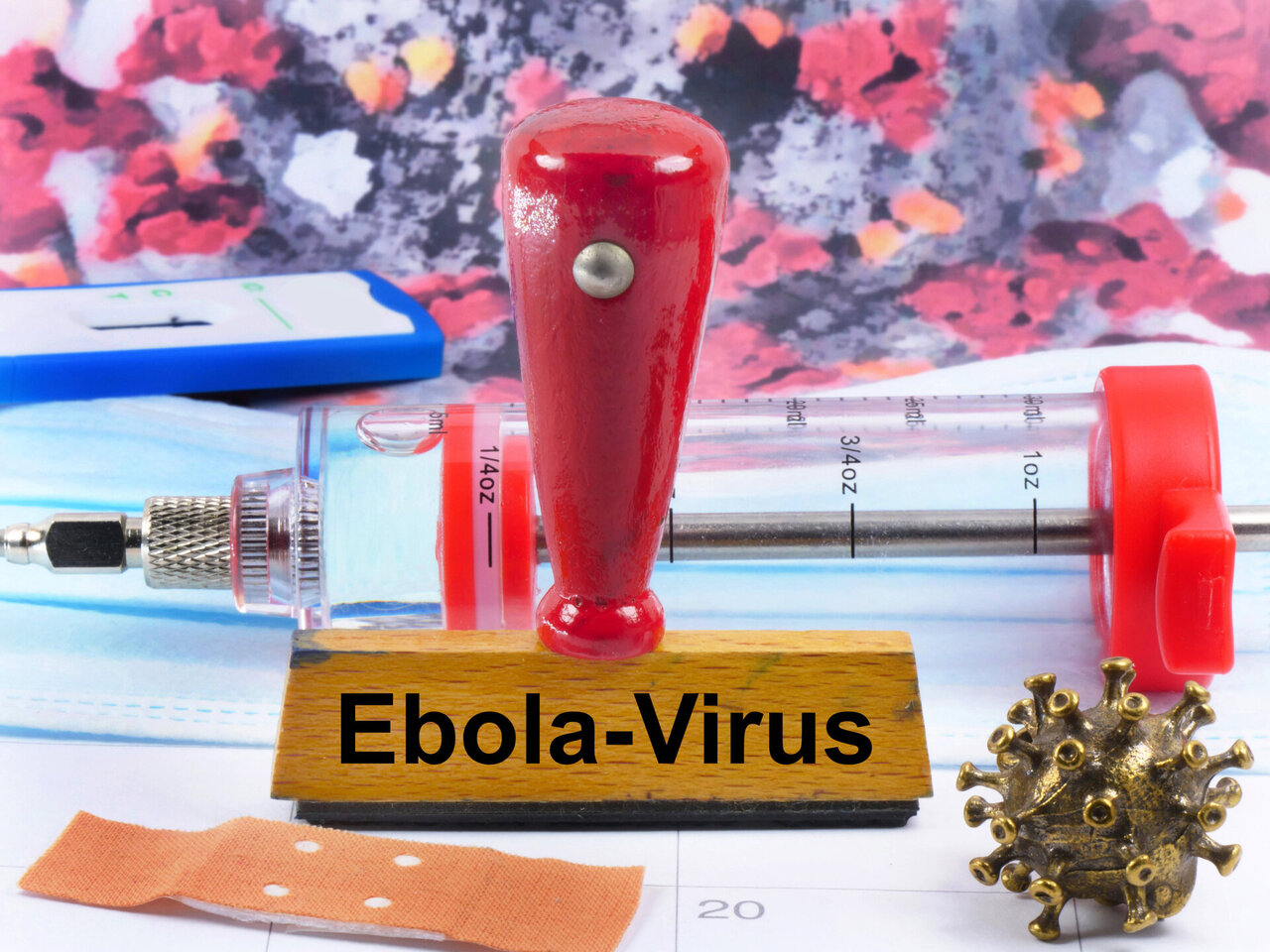 Naujas Ebolos protrūkis Kongo DR: ką žinome