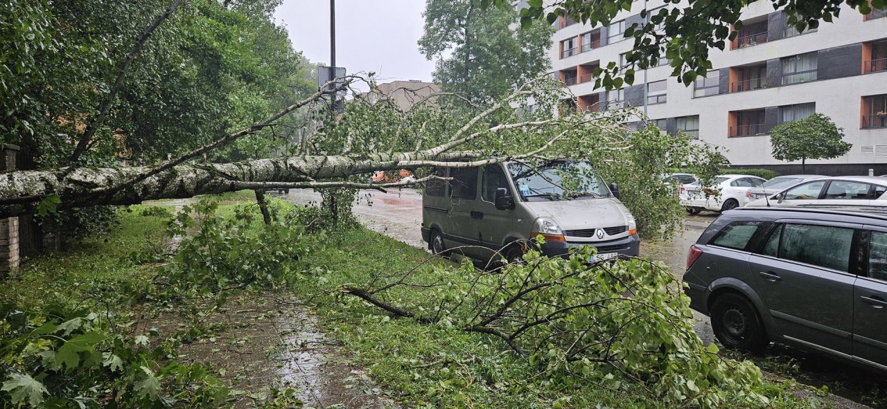 Audra Vilniaus nepagailėjo: žuvo moteris, išvartyti medžiai, uždaryti darželiai, sutrikęs autobusų eismas