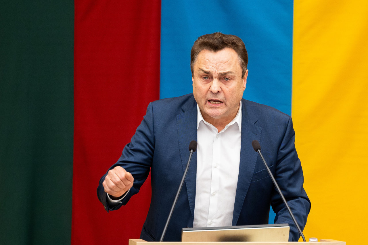 P. Gražulis kaltina konservatorius išprovokavus riaušes prie Seimo
