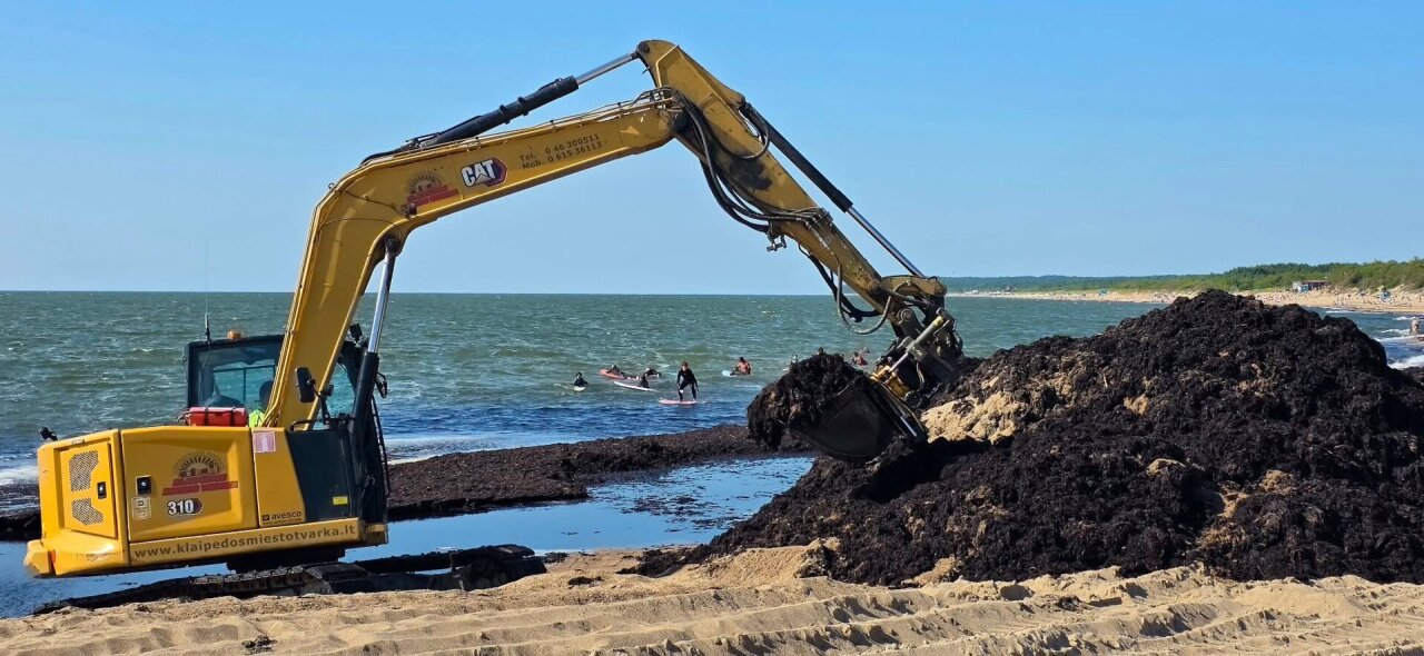 Palanga jau apsitvarkė, bet viename Klaipėdos ruože – vis dar dumblių kalnai