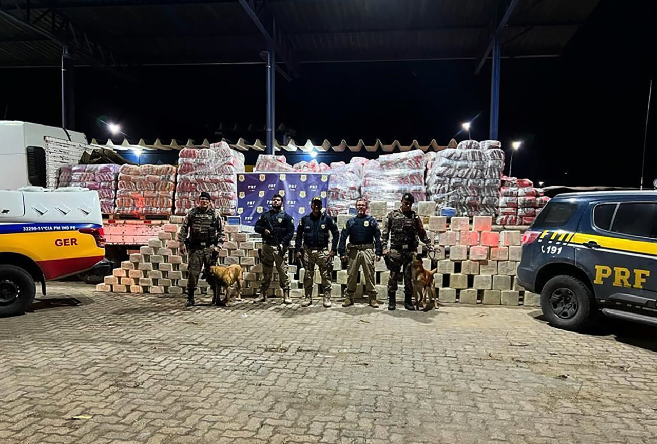 Brazilijos policija sulaikė toną kokaino, paslėptą kačių kraike