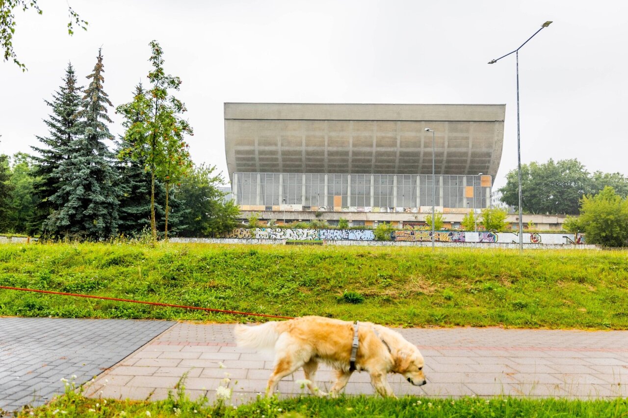 Orai.lt: savaitgalį daugelyje vietovių įkyriai lis