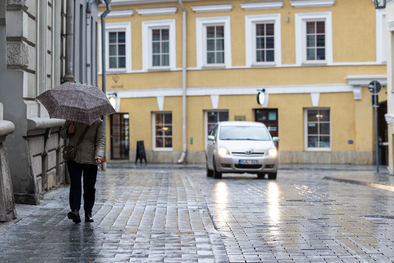 Dažniau palaistys lietus, o vasari&scaron;ka &scaron;iluma atsitrauks