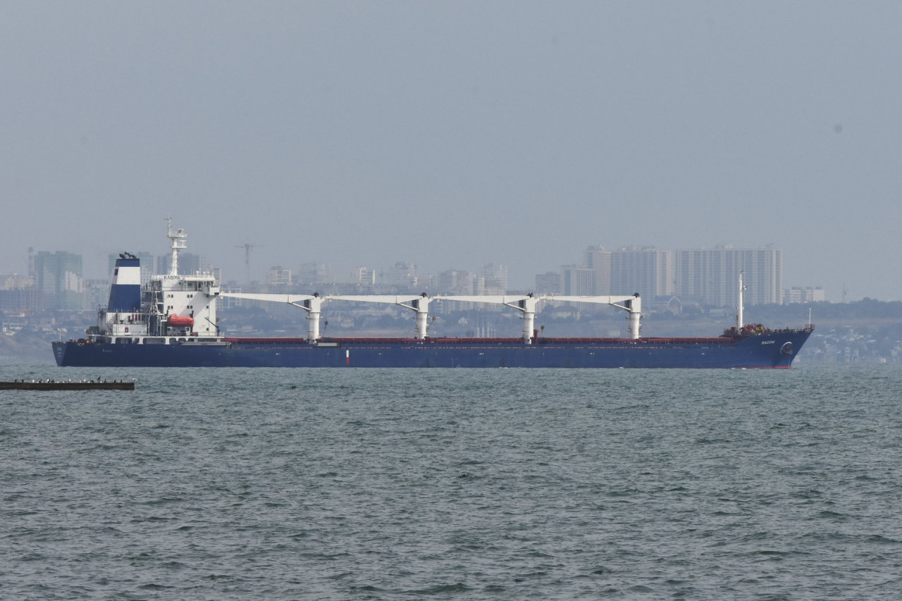 Pirmasis Ukrainos eksportuojamų grūdų krovinį gabenantis laivas laukia patikros Turkijoje