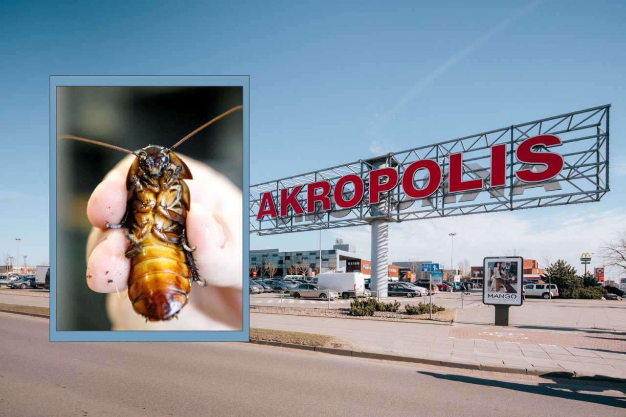 Klaipėdos „Akropoyje“ uždarytas „Delano“: kalti parazitai