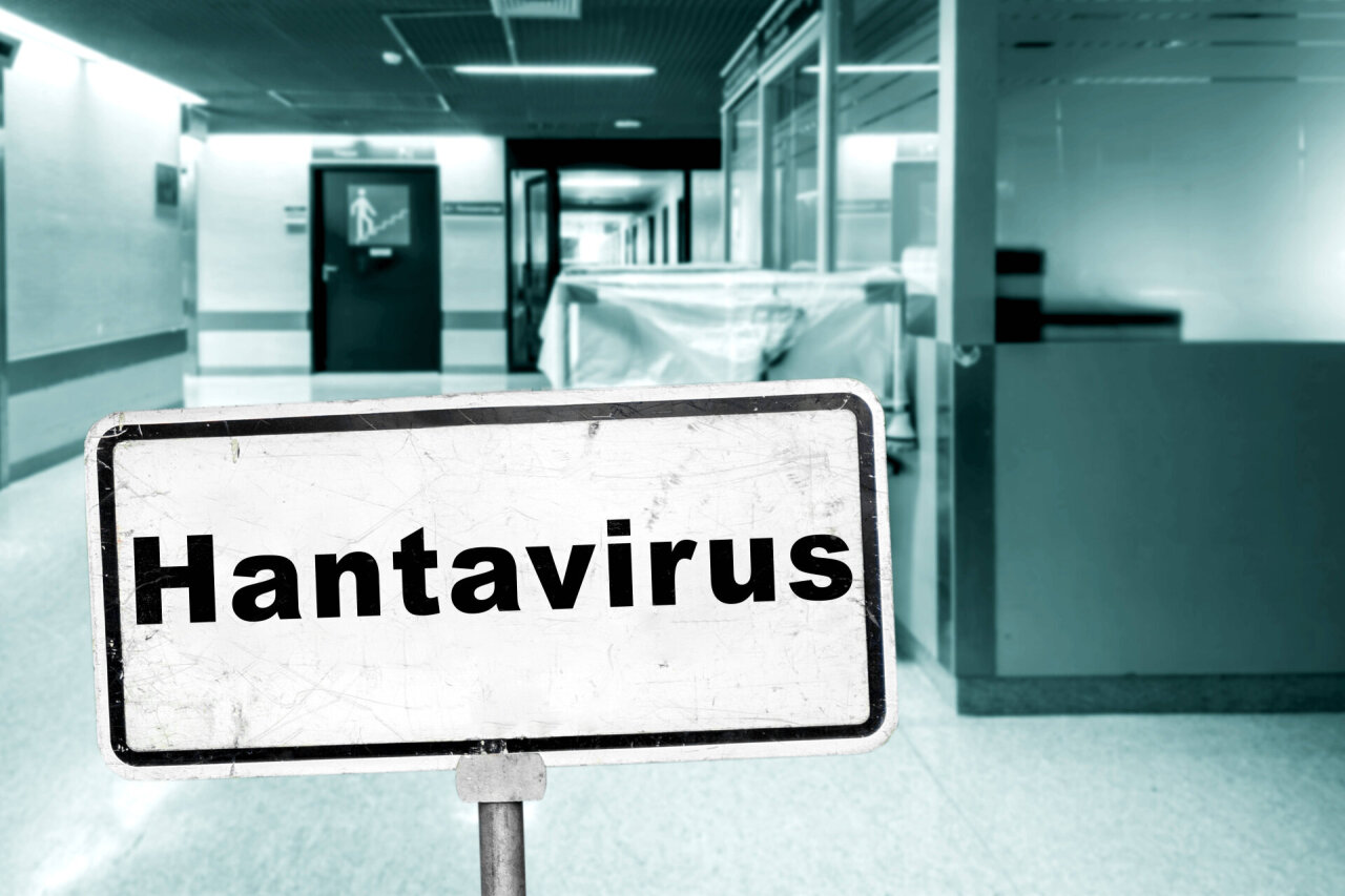 Ispanijoje po kontakto su auka nustatytas įtariamas hantaviruso atvejis