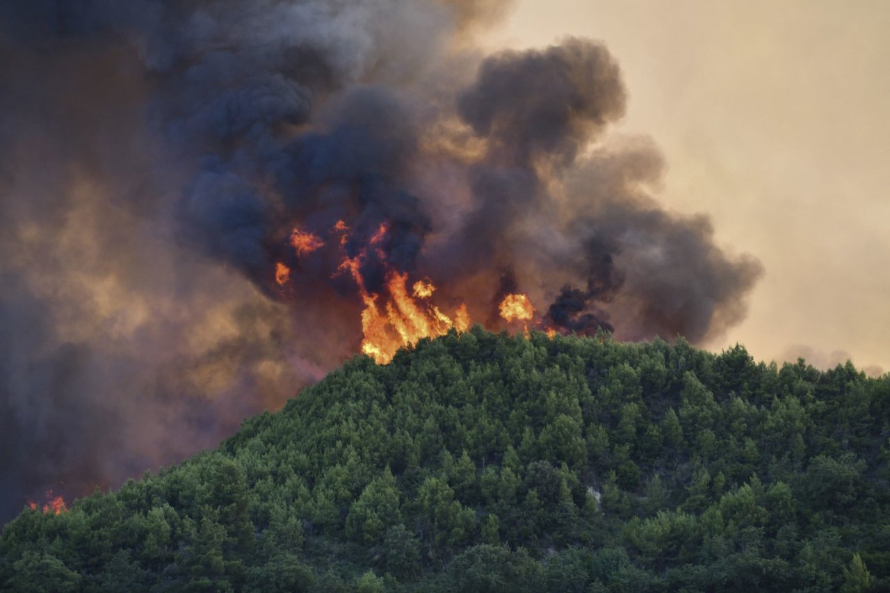 WWF: gaisras Graikijos nacionaliniame parke parodė politikos ydas