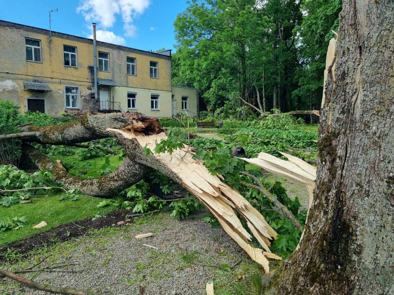 &bdquo;Verkti norisi&ldquo;: Antanavo gyventojai pakraupę nuo to, ką padarė viesulas