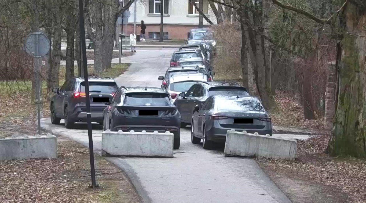 Nuo automobilių gausos per renginius „dūstantis“ Ąžuolynas: ar Kauno valdžia atsisakė planų įrengti aikštelę?