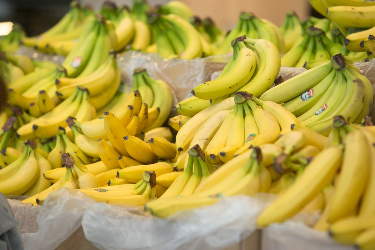 Čekijos policija bananų siuntose rado daugiau kaip 800 kg kokaino