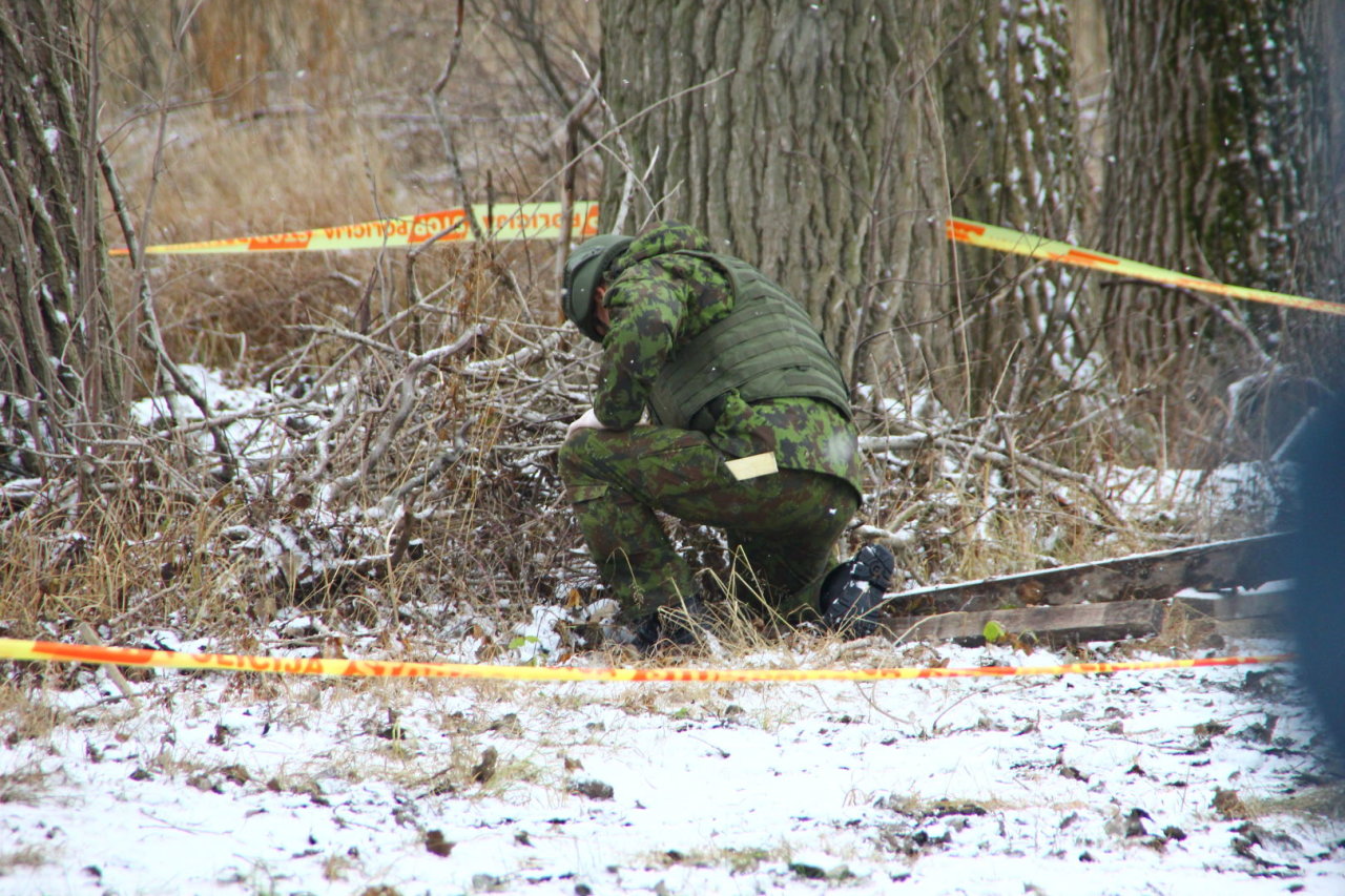 Radinys prie kapinių sudrumstė gyvųjų ramybę: prireikė visų tarnybų