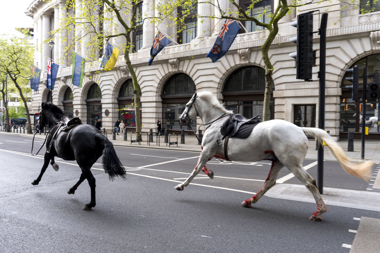 Chaosas Londono centre: gatvėse blaškėsi išsigandę kariuomenės žirgai
