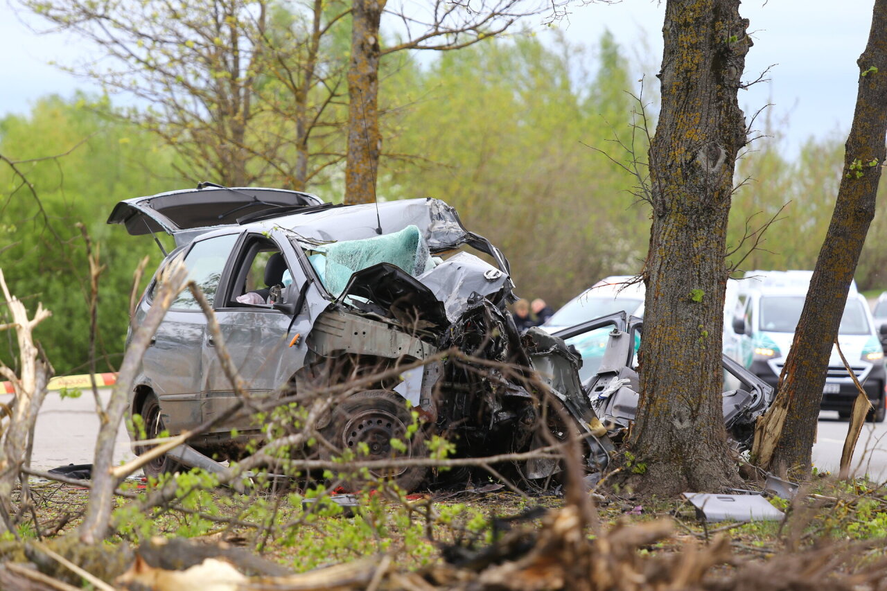 Panevėžyje į medžius rėžėsi &bdquo;Nissan&ldquo;: sunkios būklės vairuotoją laisvino ugniagesiai, tačiau &scaron;is nei&scaron;gyveno