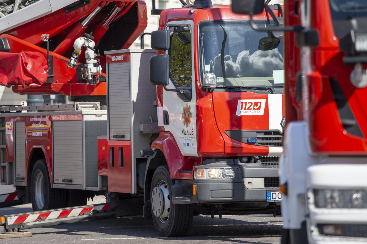 Gaisras Vilniuje: ugniagesiai iš buto išgelbėjo žmogų ir jo augintinį