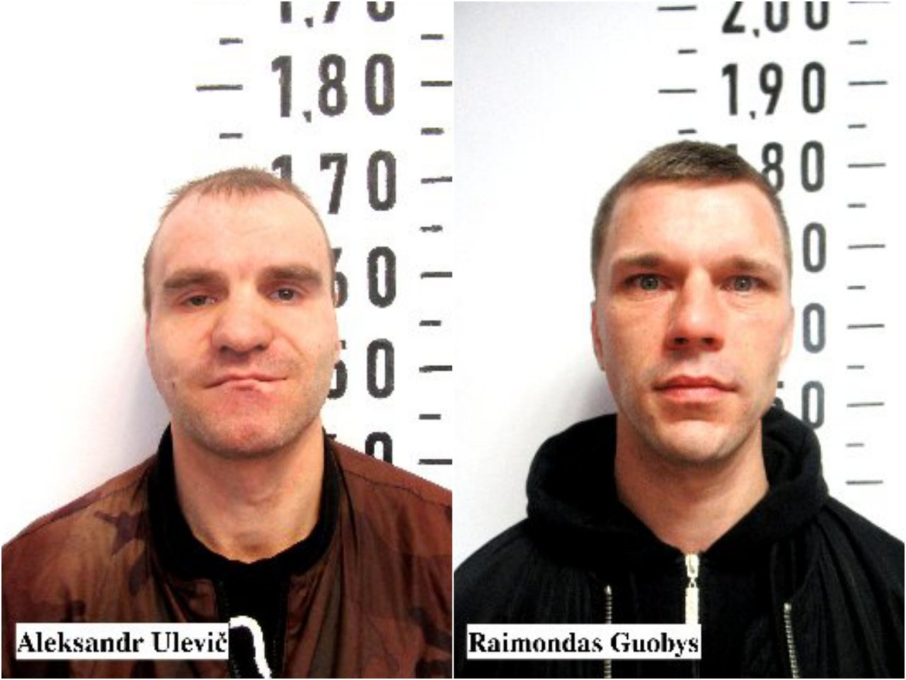 Tris savaites laisvėje buvęs Pravieniškių kalinys pagautas, kitas – pasileido plaukus