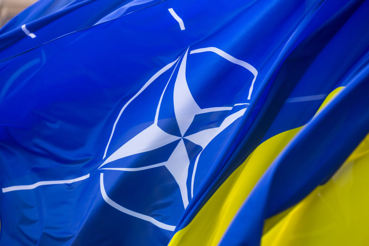 Parlamentinės Asamblėjos vadovė: laikas galvoti apie kitus Ukrainos narystės NATO etapus
