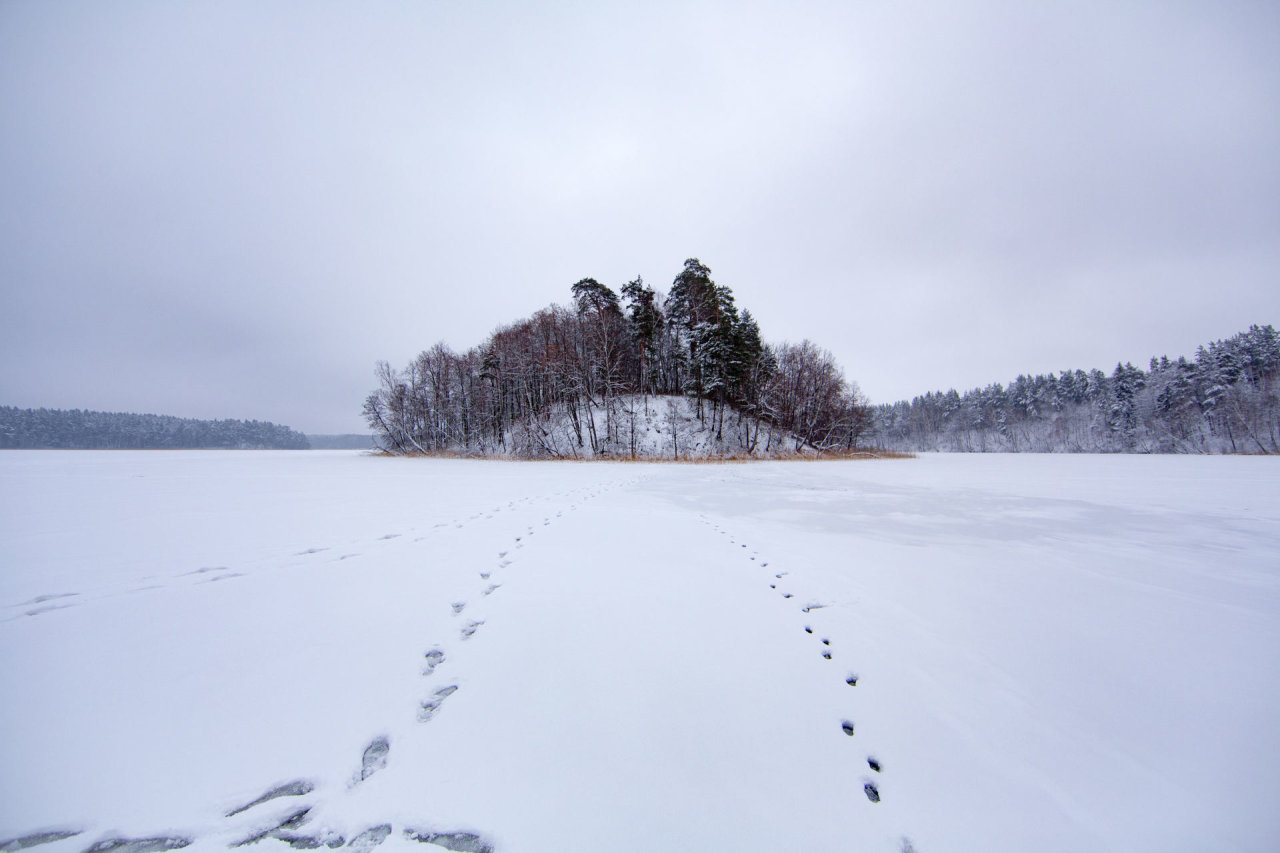 Staigmena: ilgiausias Lietuvos ežeras ne tas, kurį žinote
