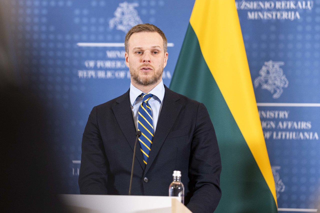 G.Landsbergis: kaltindamos VSD pranešėjo komisiją institucijos politizuojasi