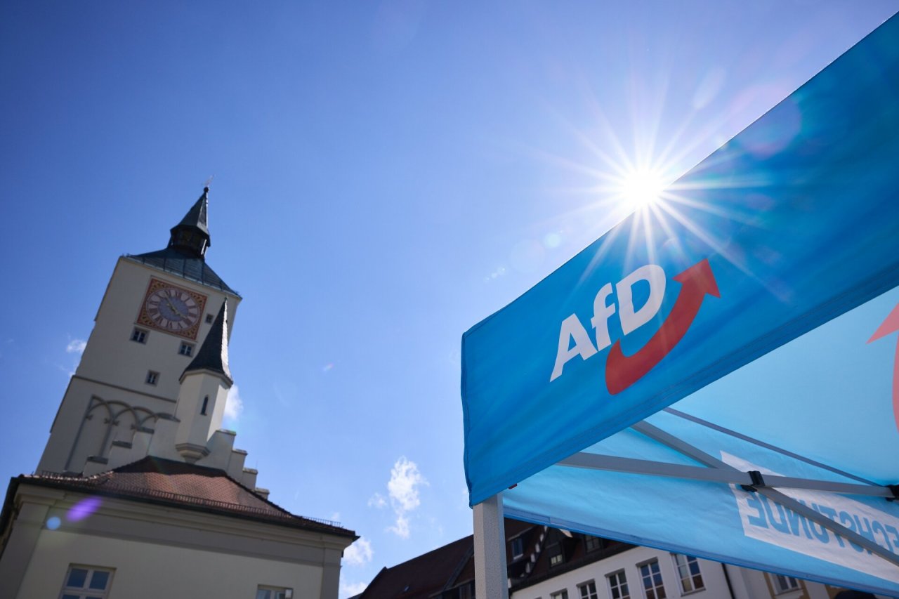 Lietuvoje susirūpinta EP rinkimų „klastojimu“ Vokietijoje: ar balsai už AfD buvo išmesti?