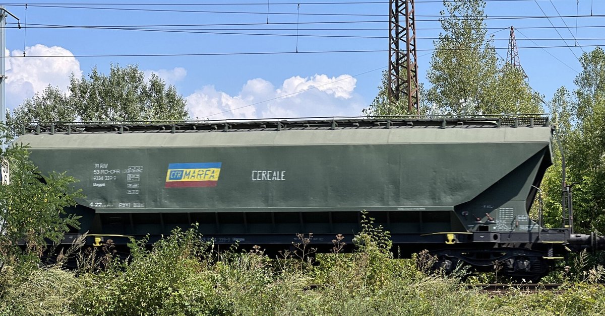 Urzędnicy: Ukraińskie rośliny rzepaku uszkodzone na granicy polsko-ukraińskiej