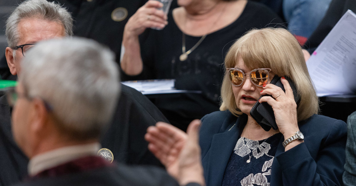 Astra Genovaitė Astrauskaitė Removed from Seimas Riot Hearing