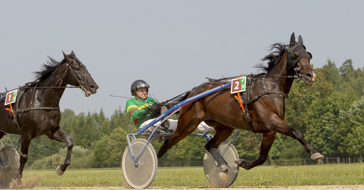 Elitetrener Žydrūnas Vasilionka: i løpet av 30 år med hestesport har spenningen ved konkurranse ennå ikke forsvunnet for meg |  Sport