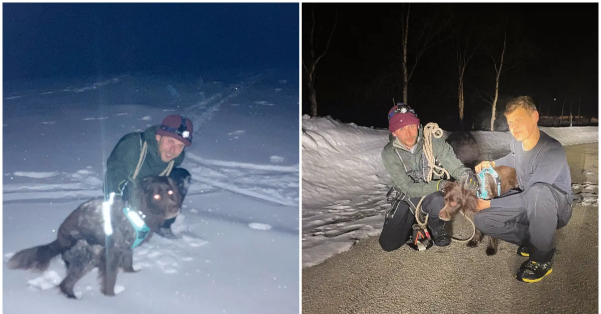 En litauer og en venn reddet en hund i fjellene i Norge: Vi vil huske denne hendelsen resten av livet