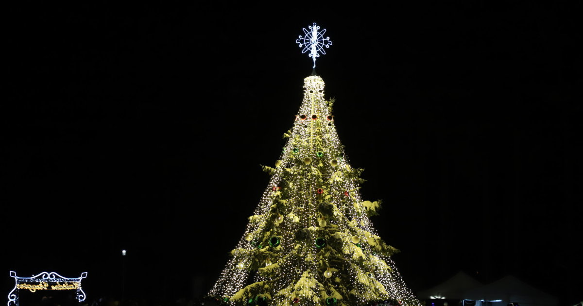 L’albero di Visaginas è stato sorpreso da un’idea sostenibile: è stato decorato con giocattoli creati dalla gente del posto, e non solo.