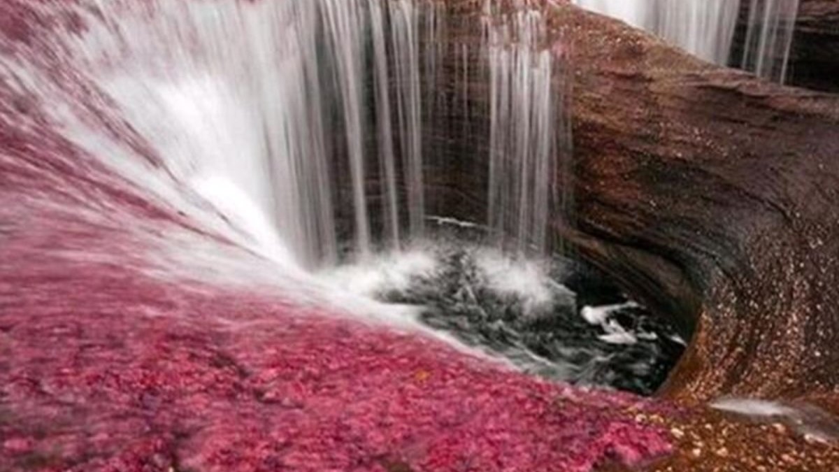 Upė Cano Cristales