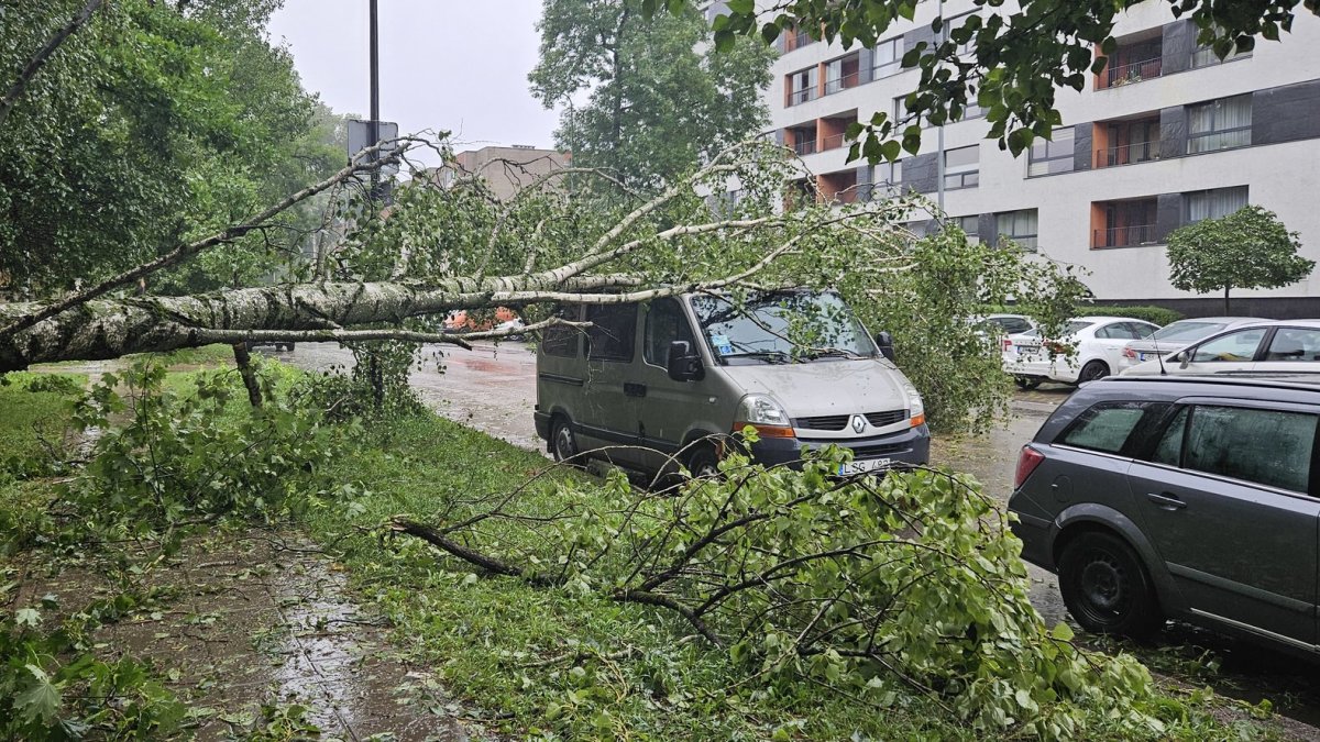 Audros padariniai Vilniuje / 15min skaitytojo Arnoldo nuotr.