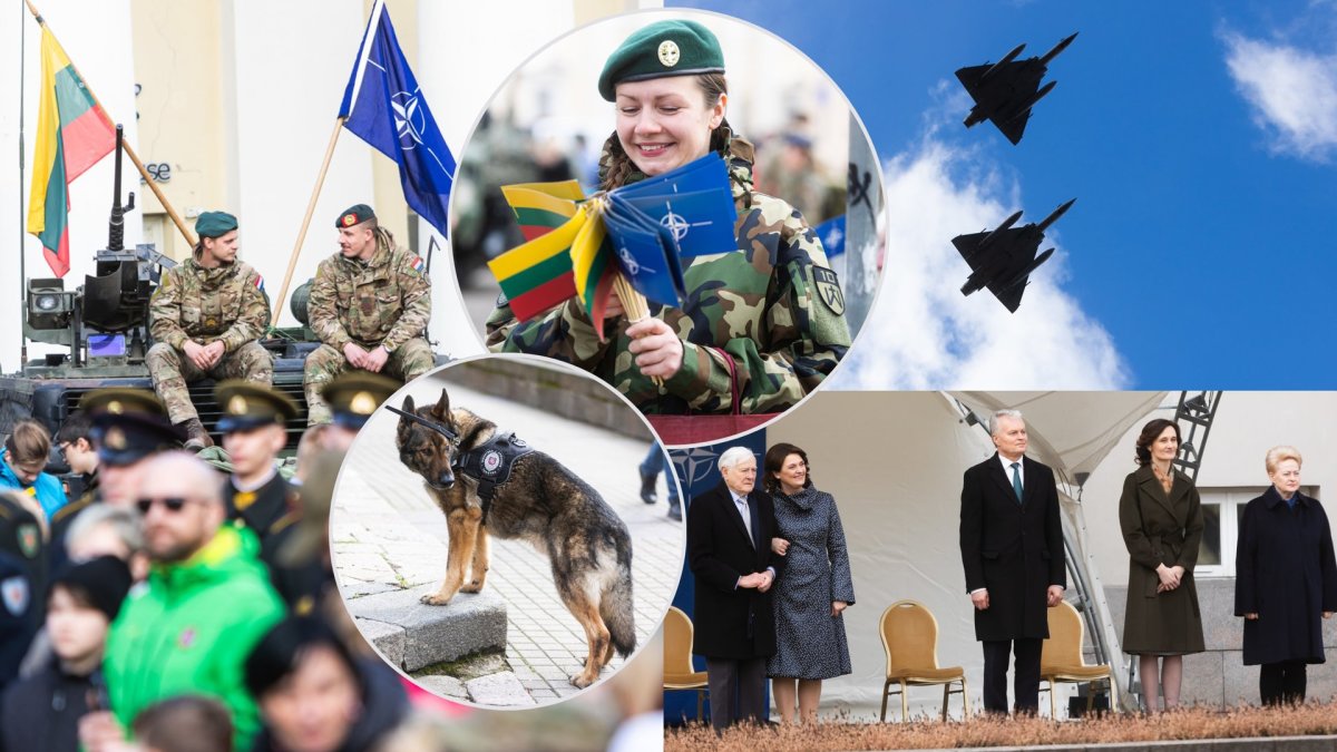 Lietuva mini narystės NATO 20-metį / Gretos Skaraitienės / BNS nuotr., Žmonės.lt koliažas