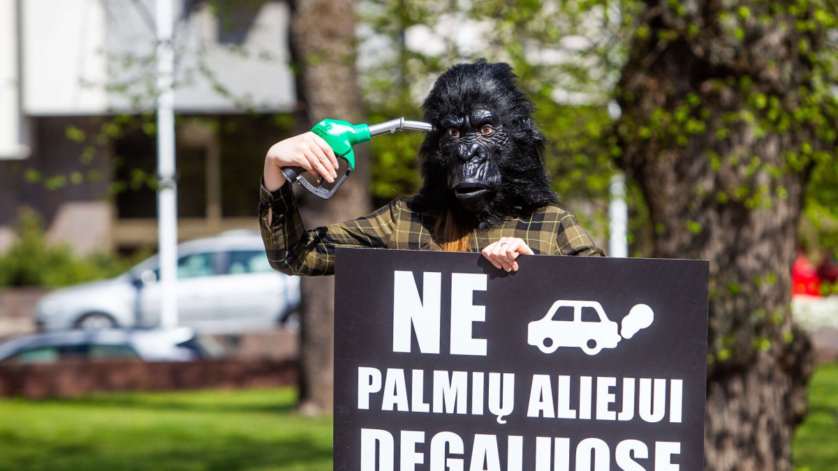 Protesto akcija „Prieš palmių aliejaus vartojimą“ / Organizatorių nuotr.