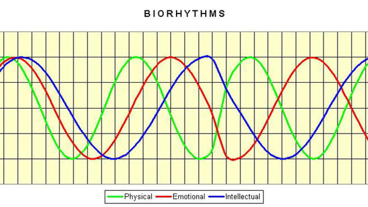 Bioritmai